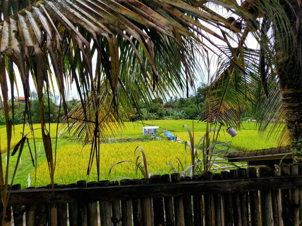 Kakau Villa 2 - Ubud Esterno foto